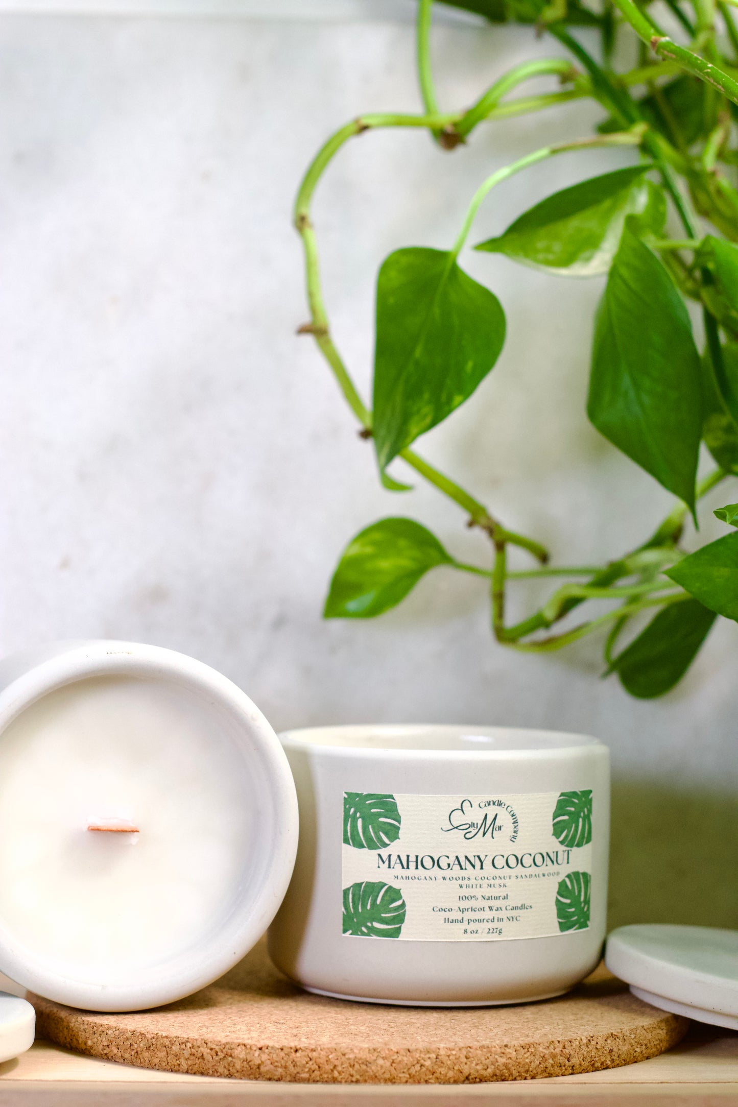 Mahogany Coconut Candle