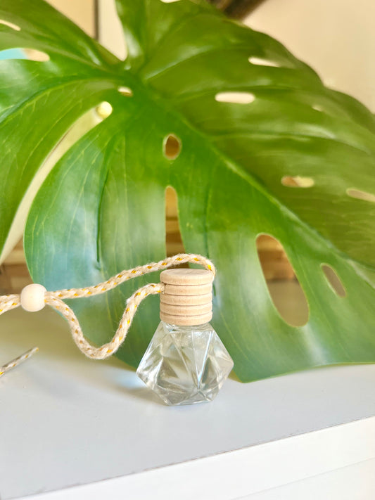 Hanging Car Diffusers